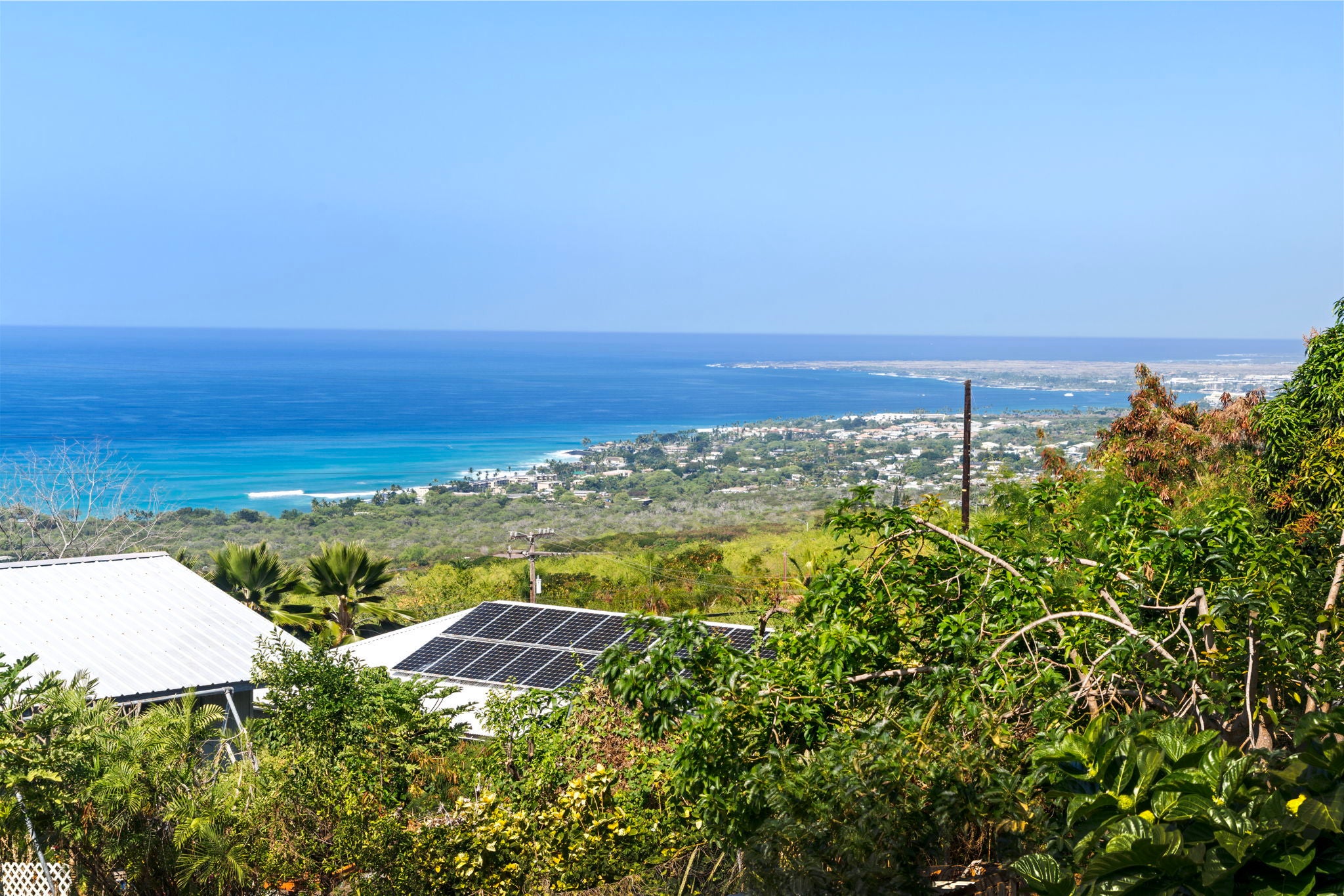 Photo of Listing #727540