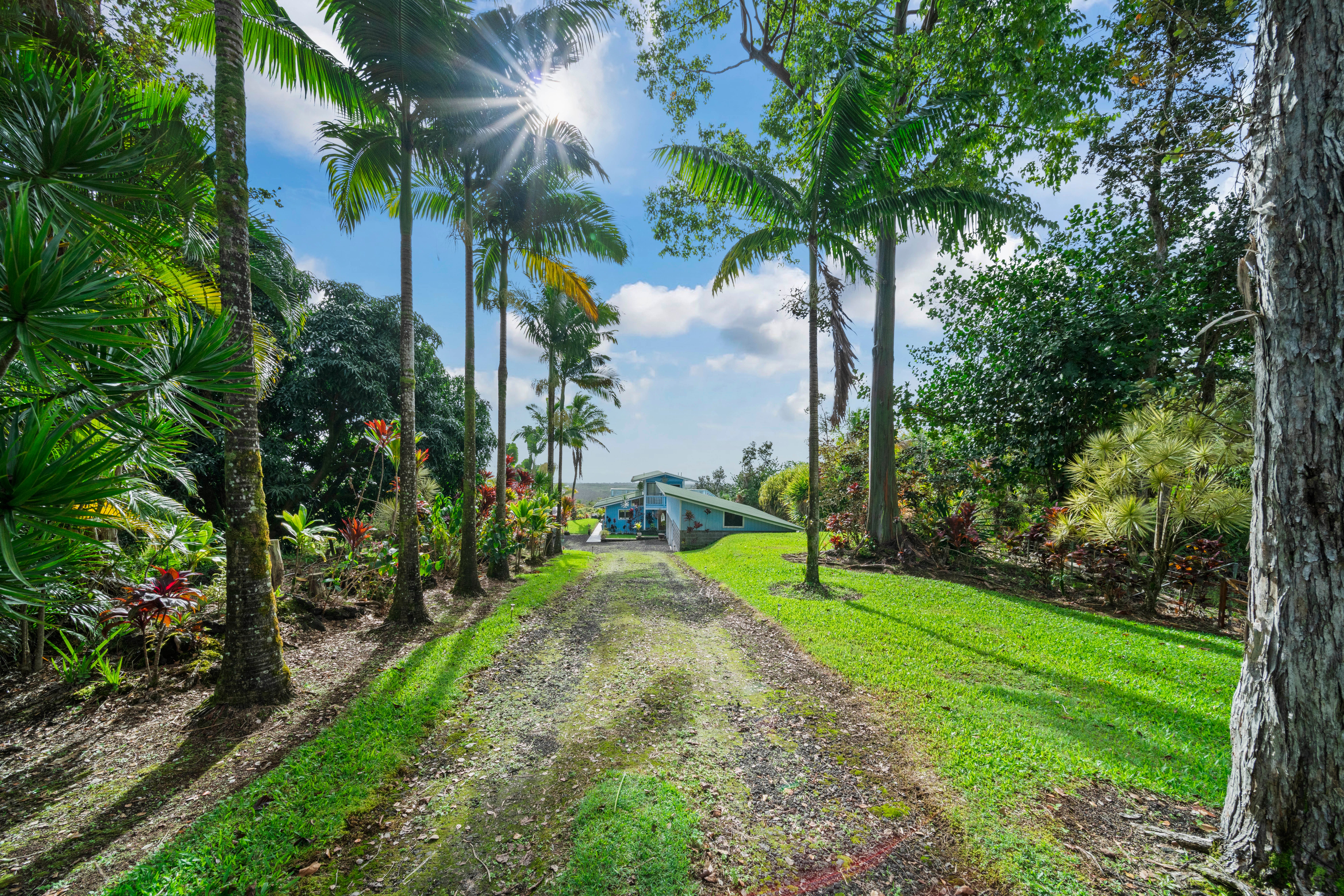 Photo of Listing #727738