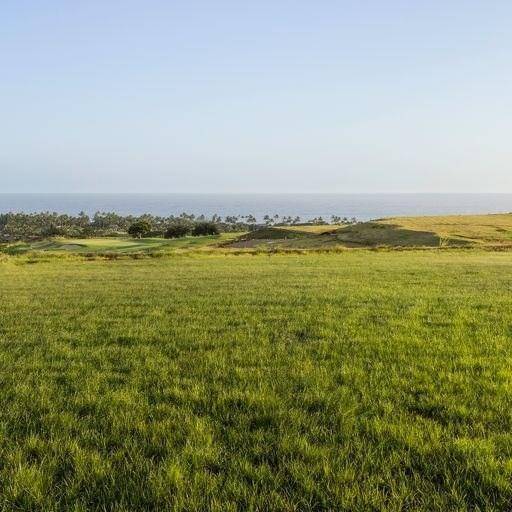 Photo of Listing #706870