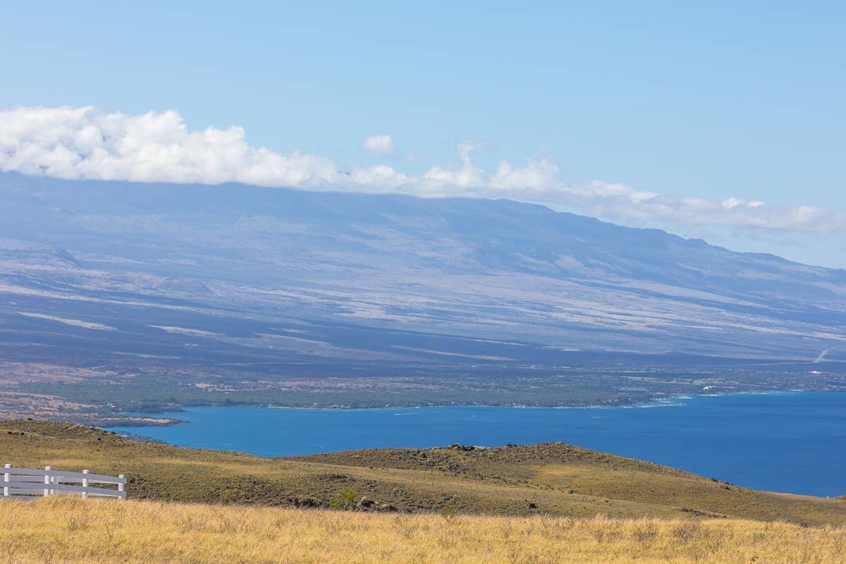 Photo of Listing #708642