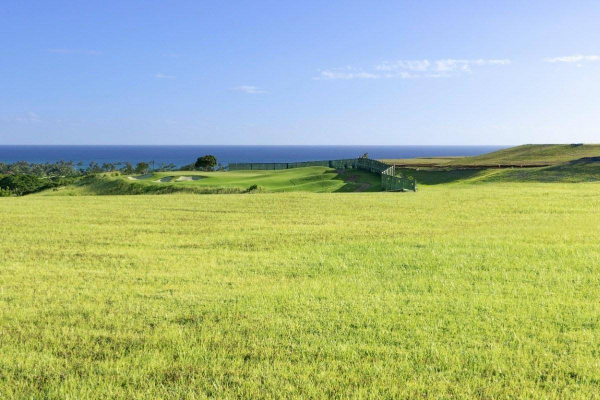 Photo of Listing #709569