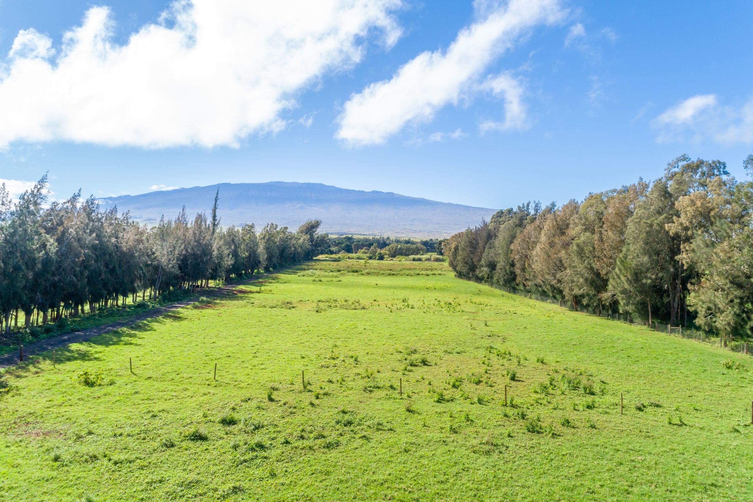 Photo of Listing #712890