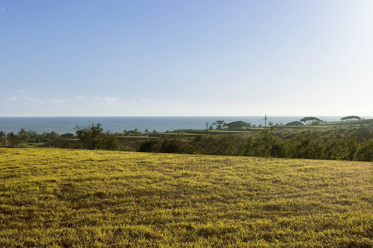 Photo of Listing #715602