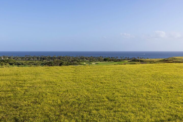 Photo of Listing #717040