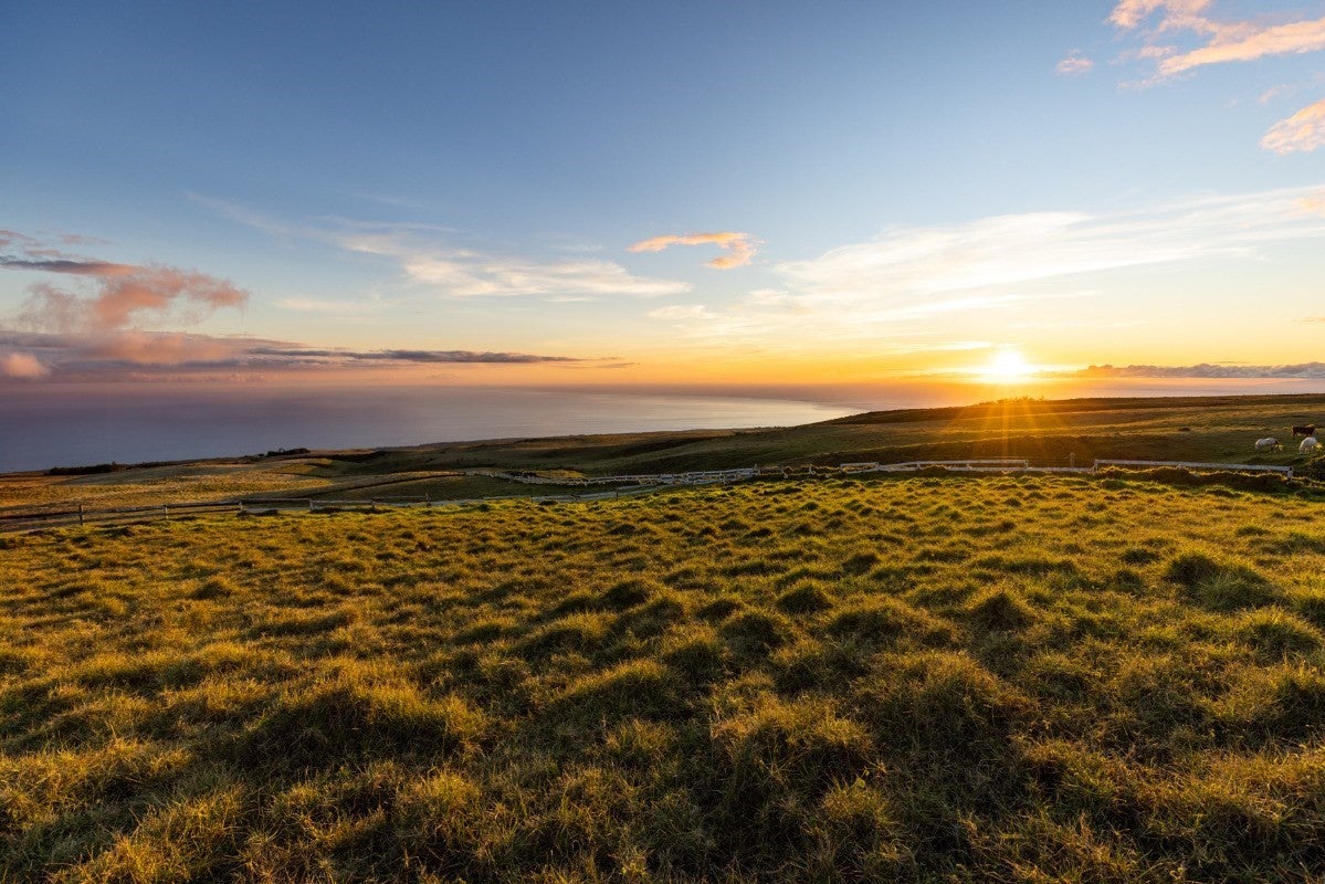 Photo of Listing #717740