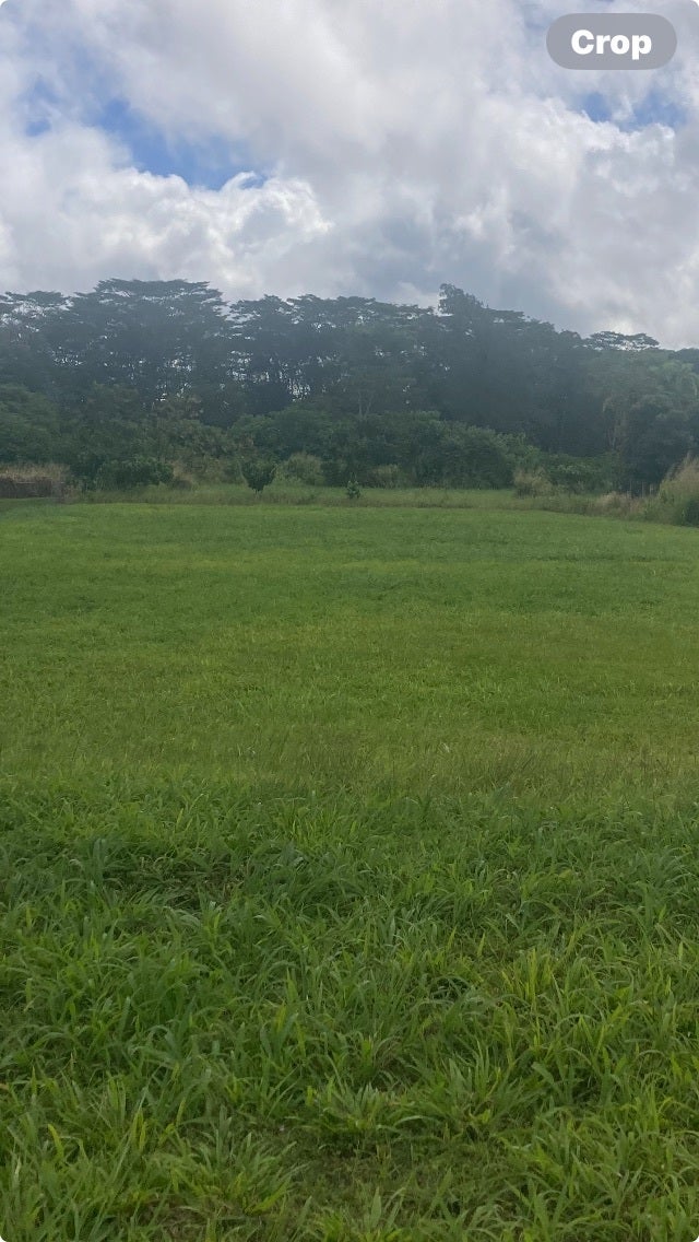 Photo of Listing #718827