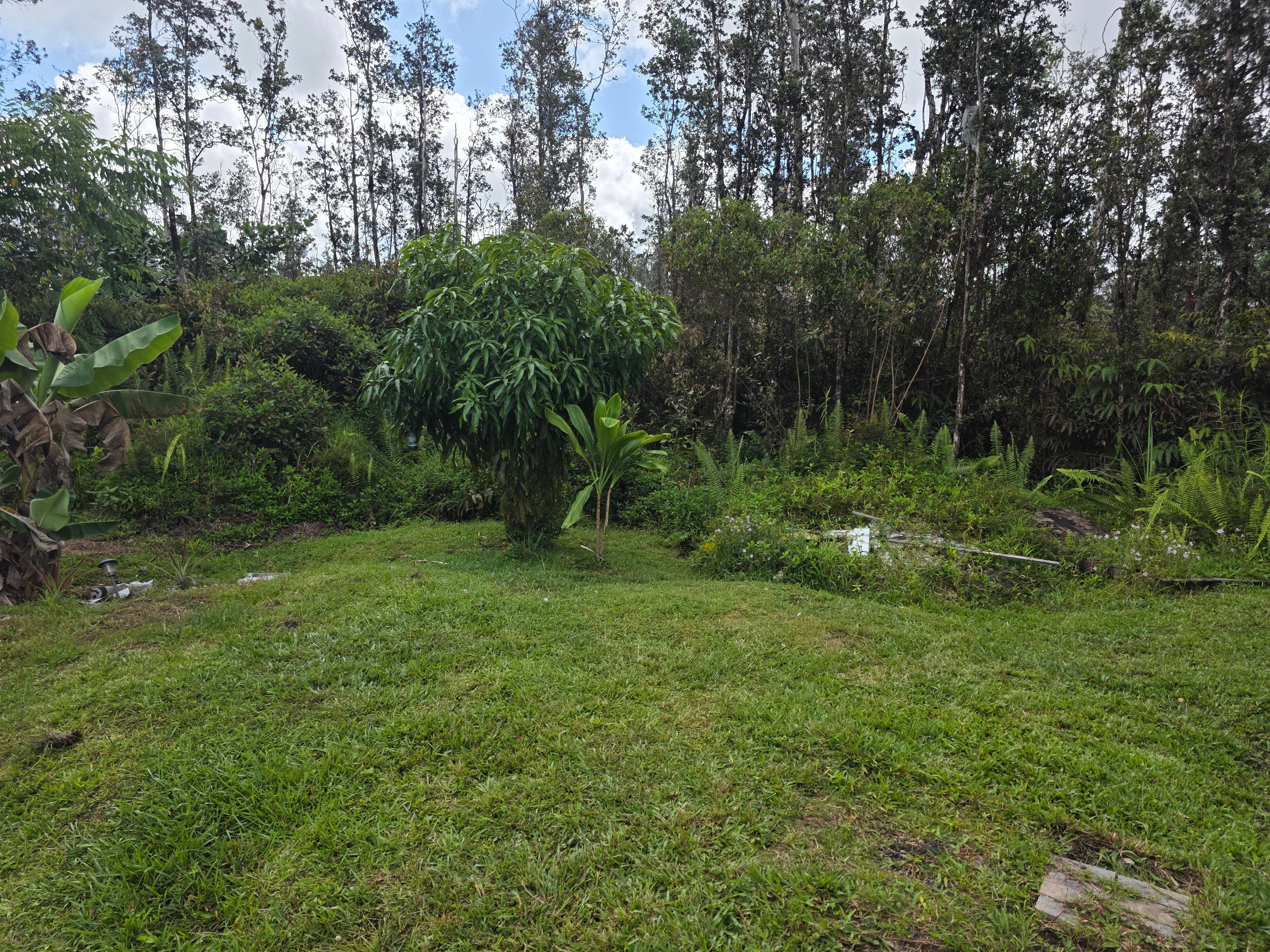 Photo of Listing #720045