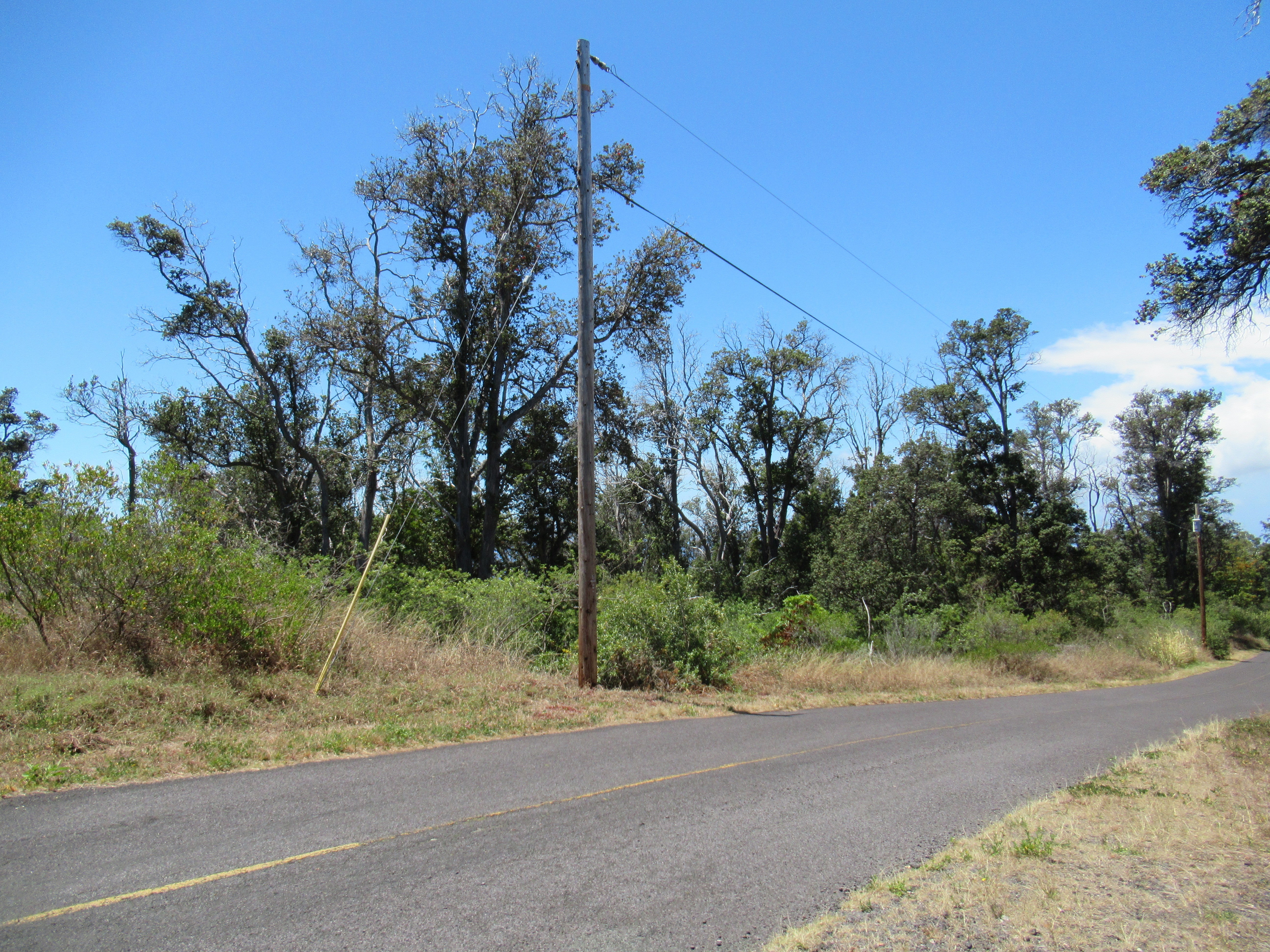 Photo of Listing #720090