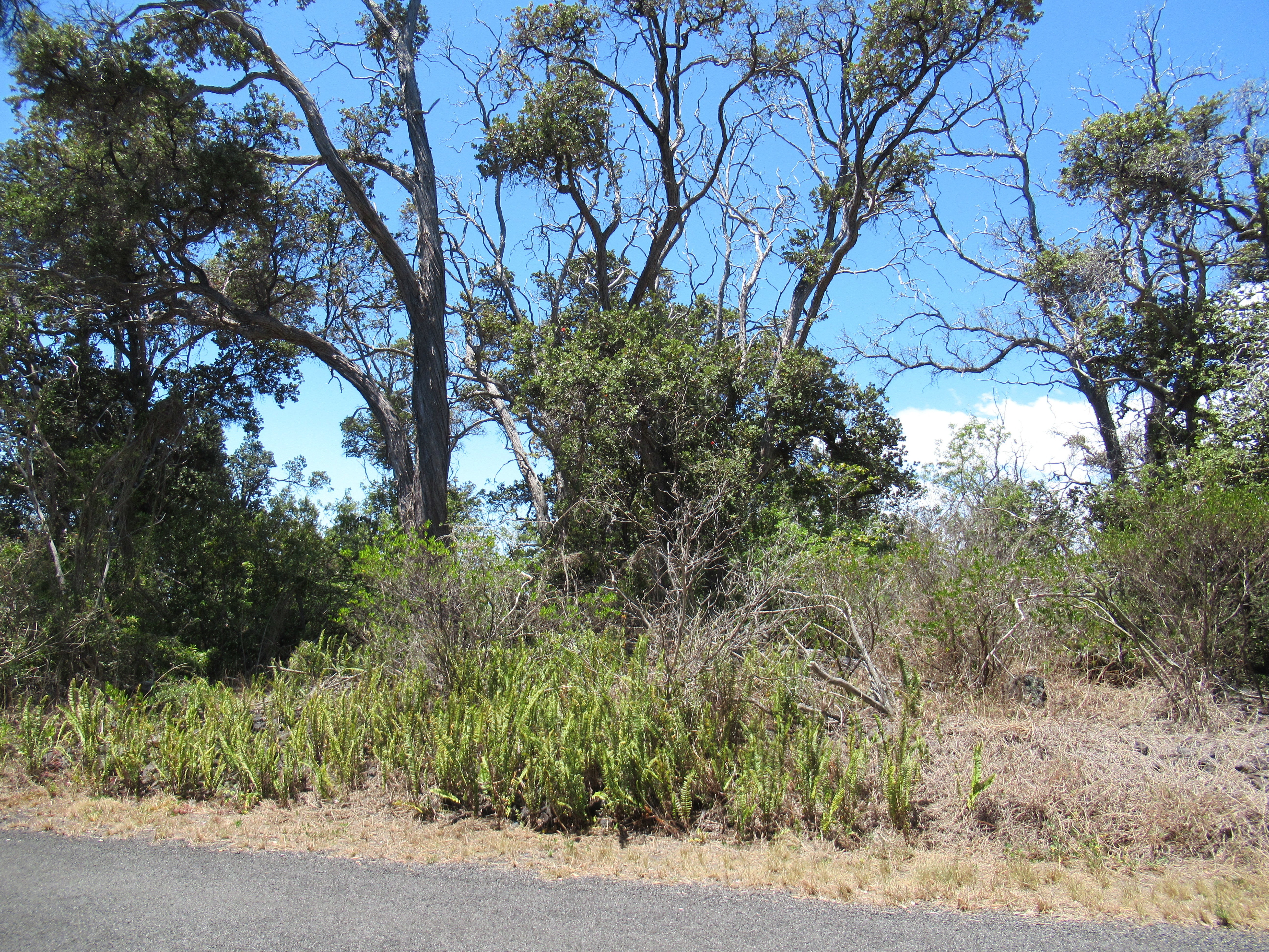 Photo of Listing #720091