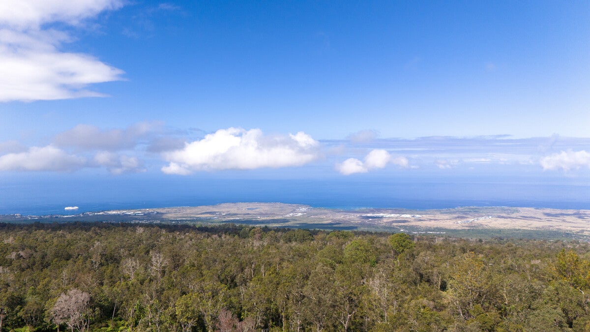 Photo of Listing #720690