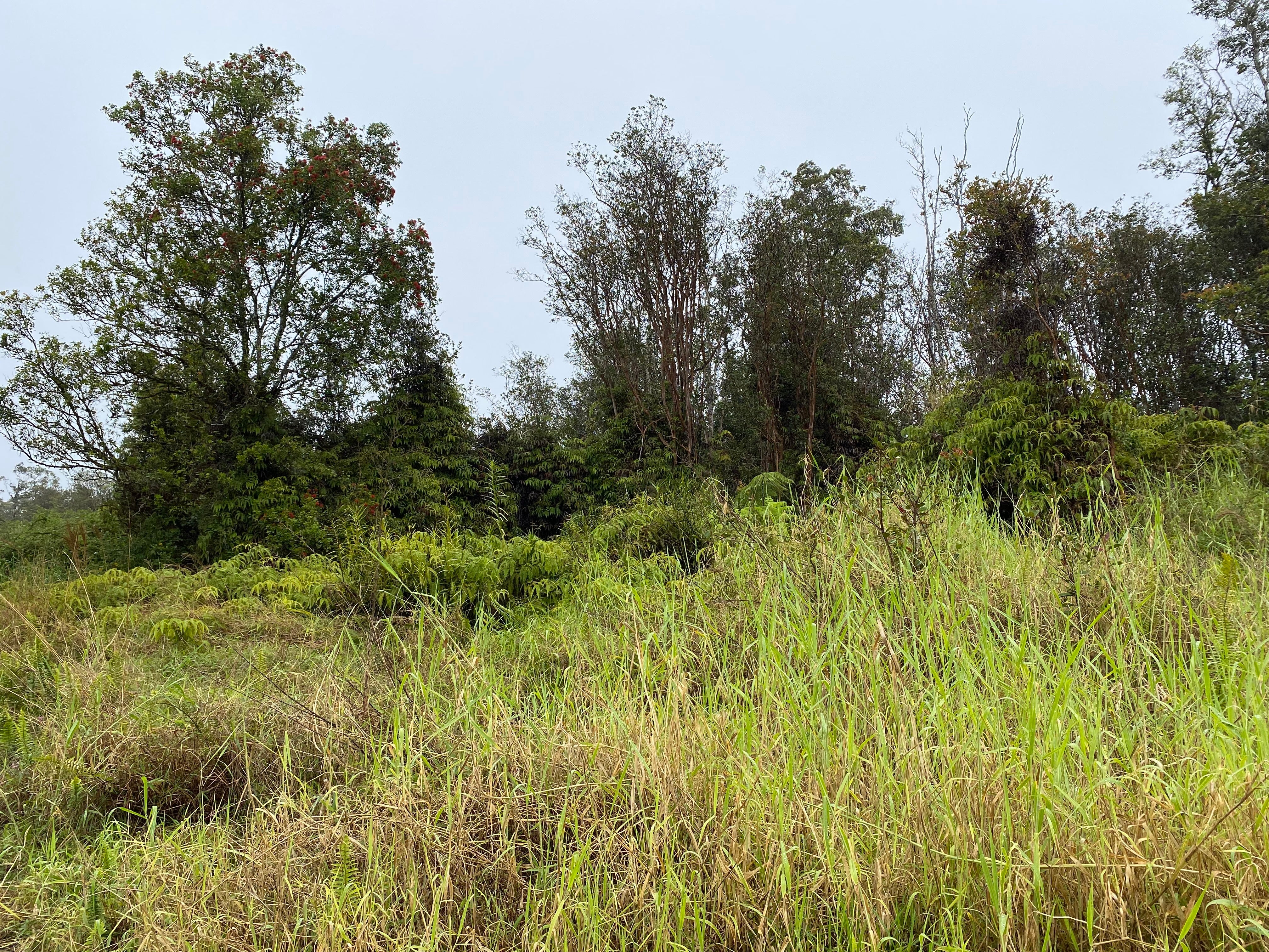 Photo of Listing #723454