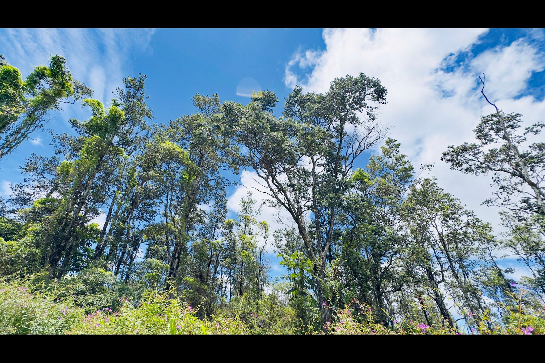 Photo of Listing #723622