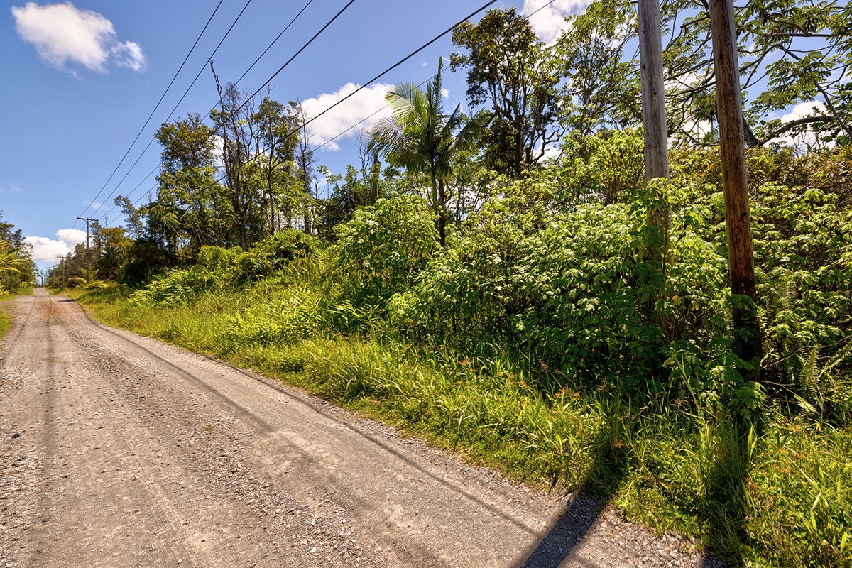 Photo of Listing #724103