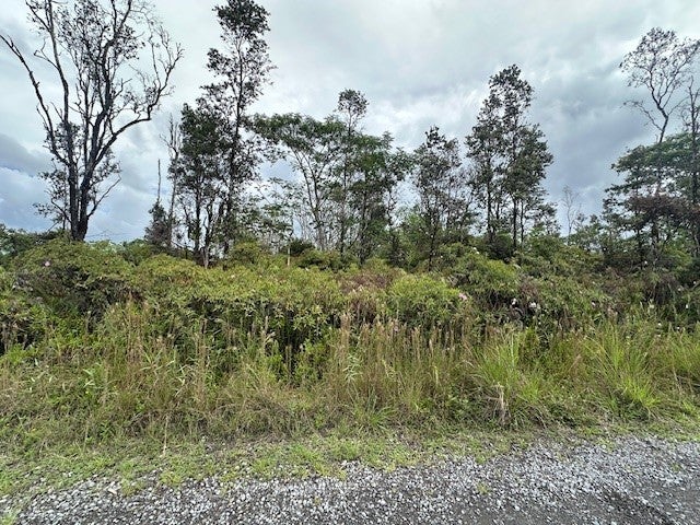 Photo of Listing #724187