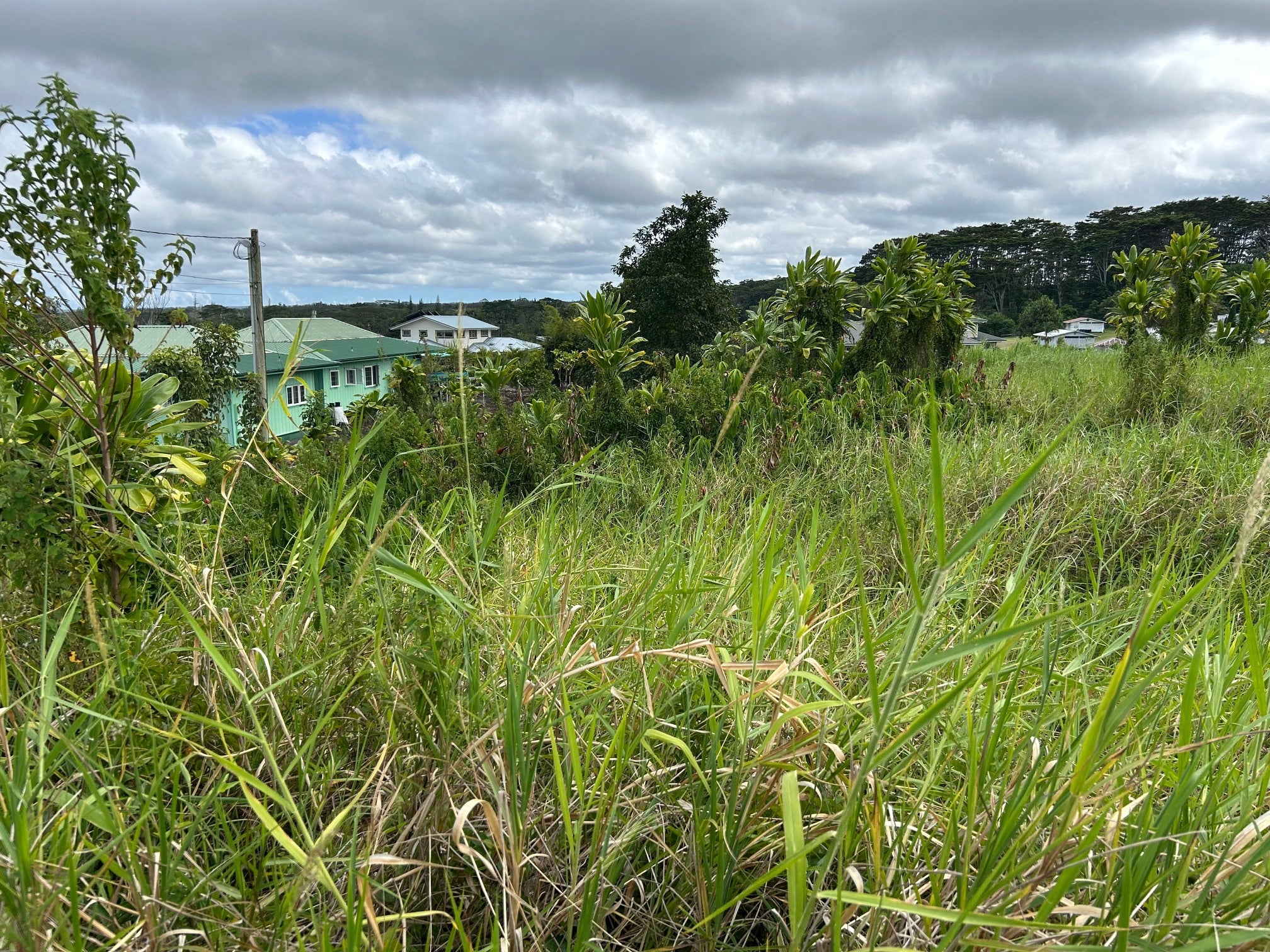 Photo of Listing #724665