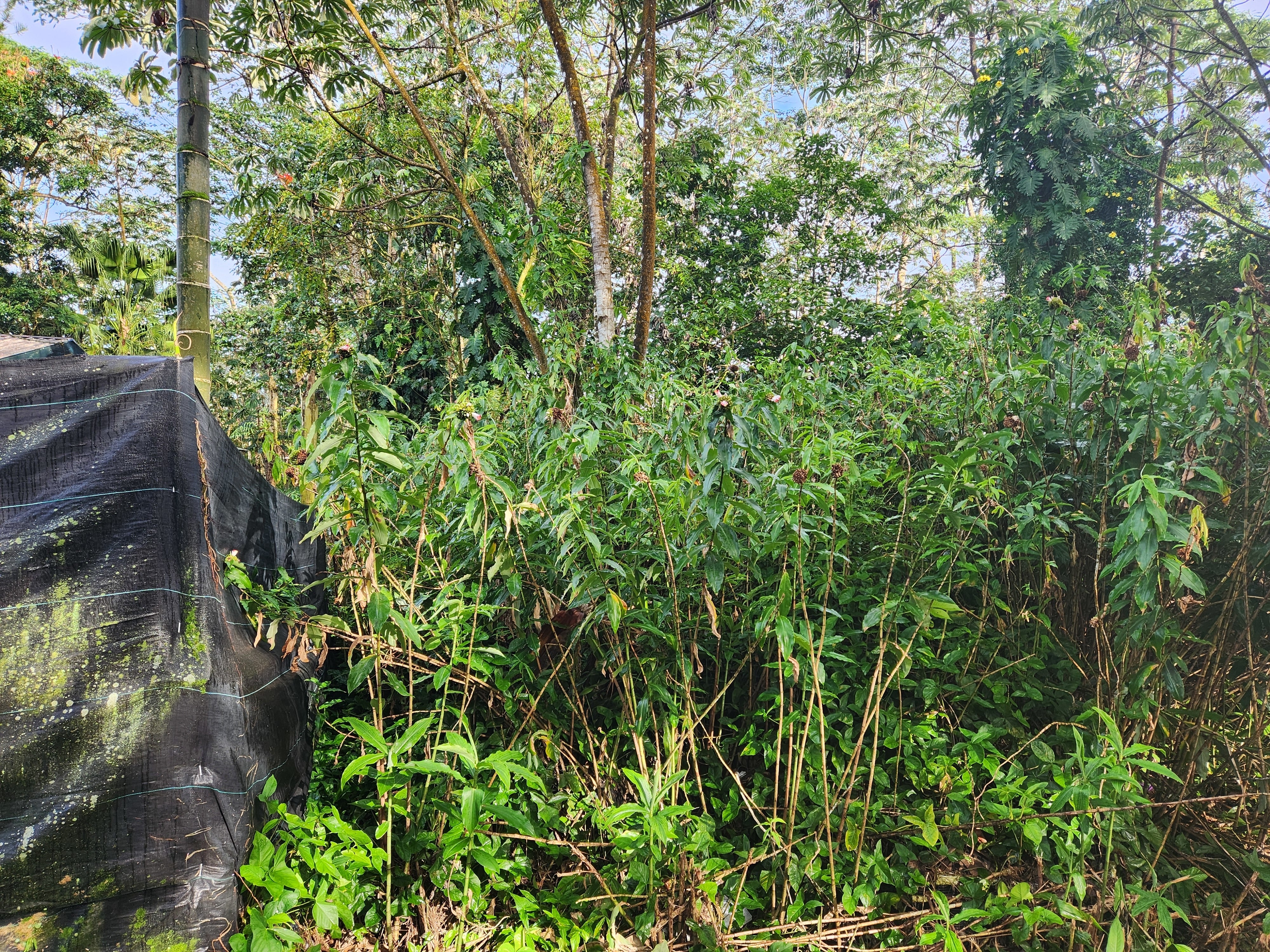 Photo of Listing #724717