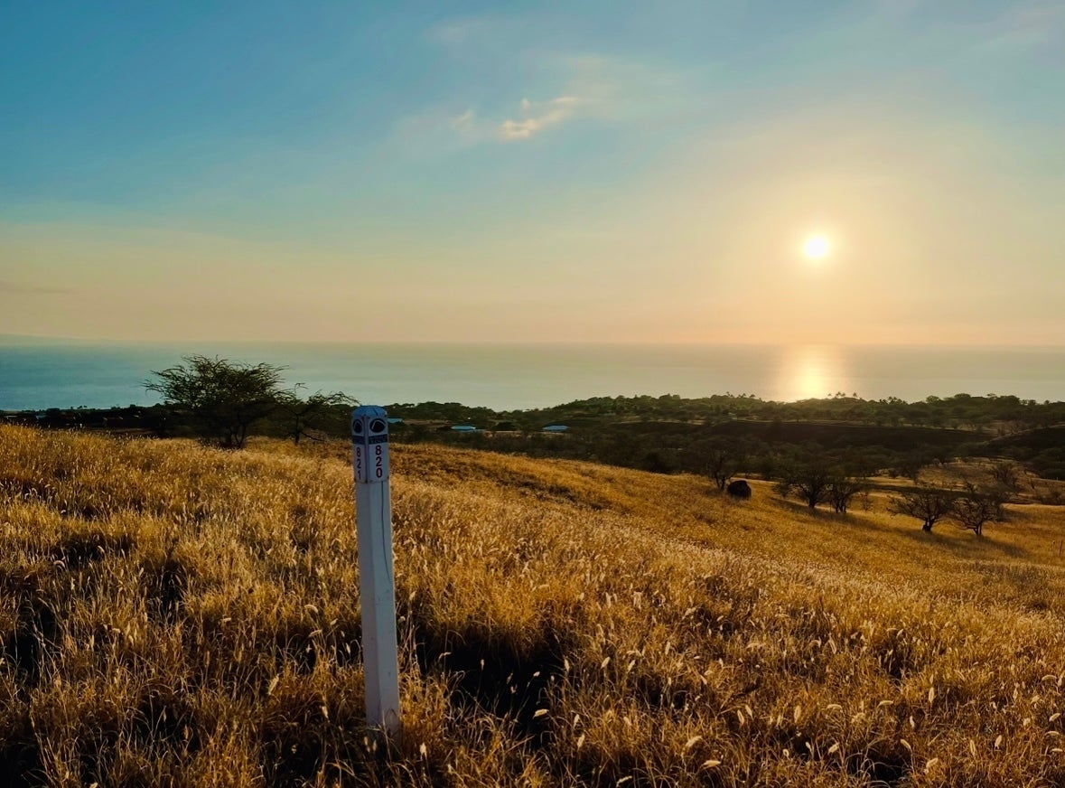 Photo of Listing #724718