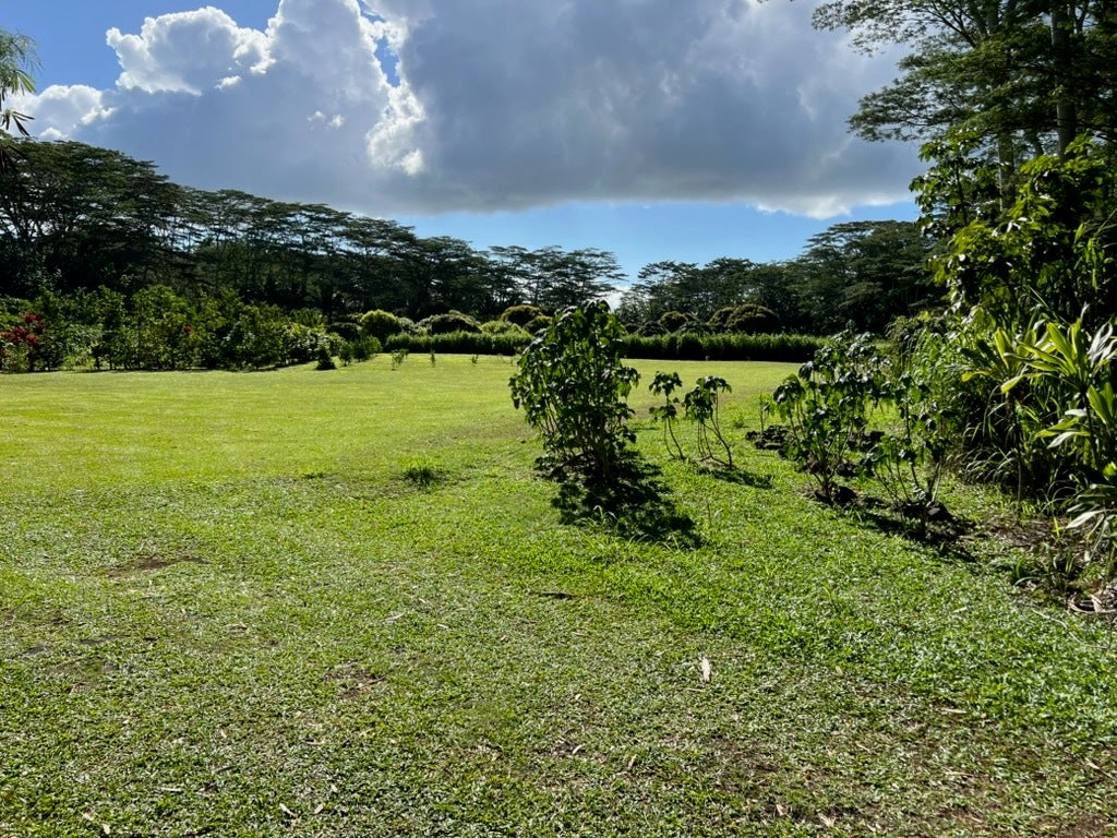 Photo of Listing #724881