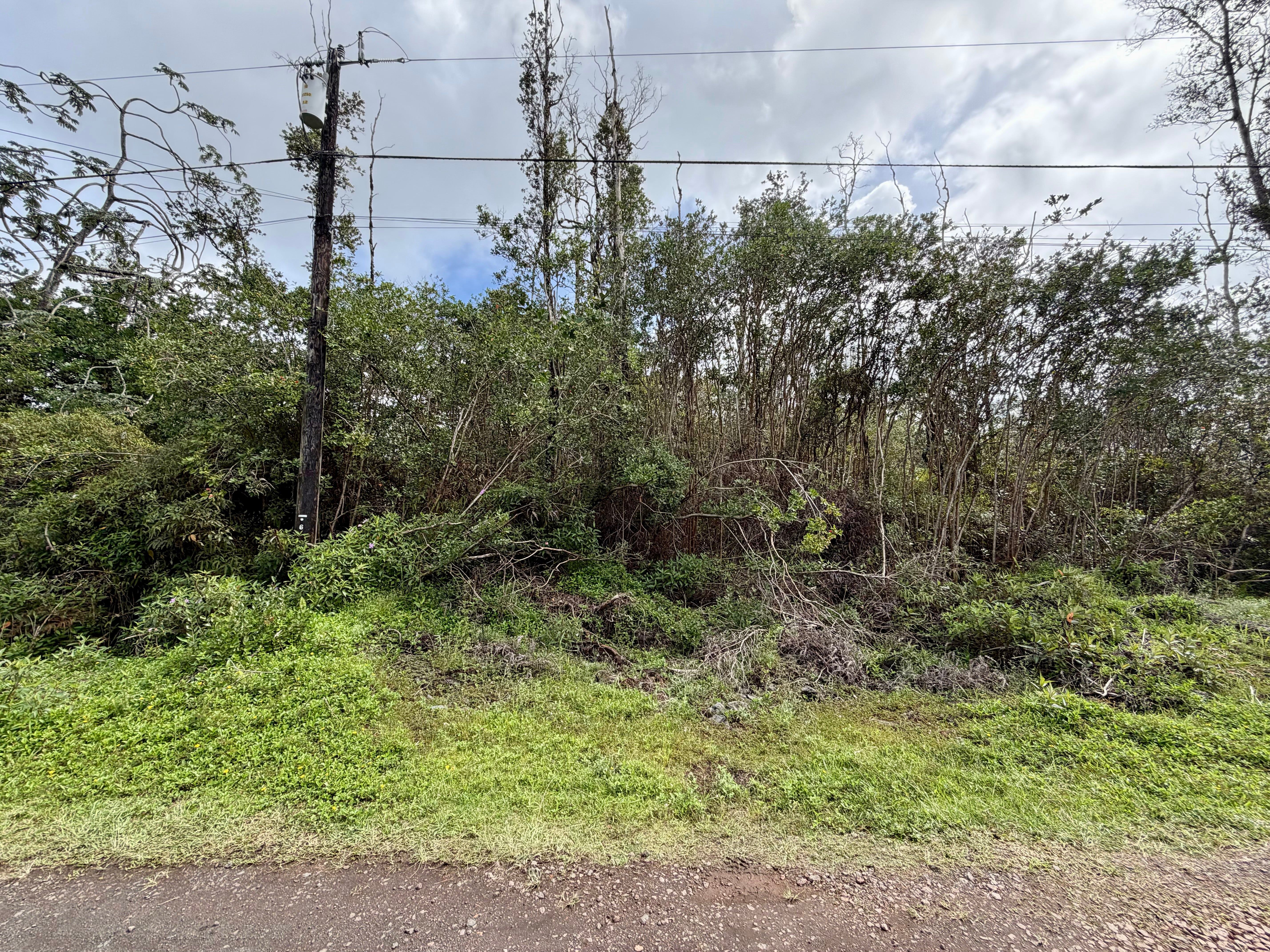 Photo of Listing #725401