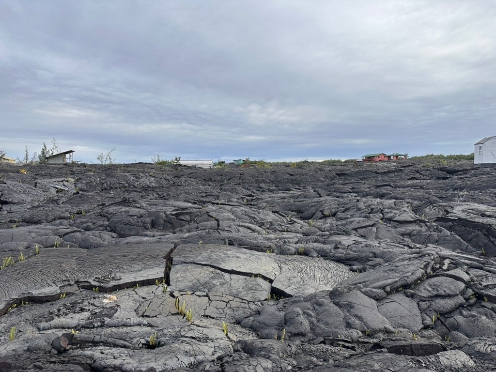 Photo of Listing #726201