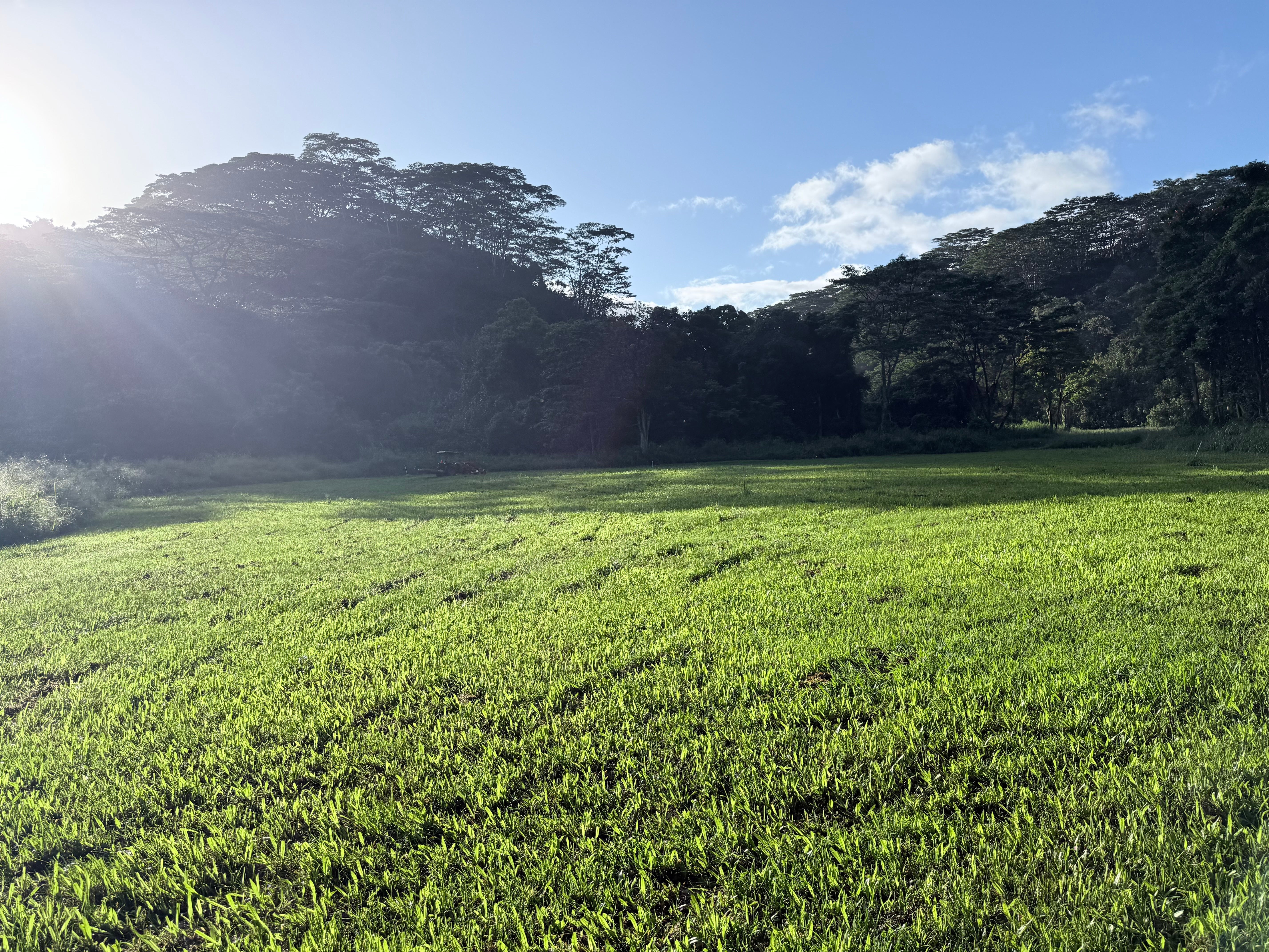 Photo of Listing #727454