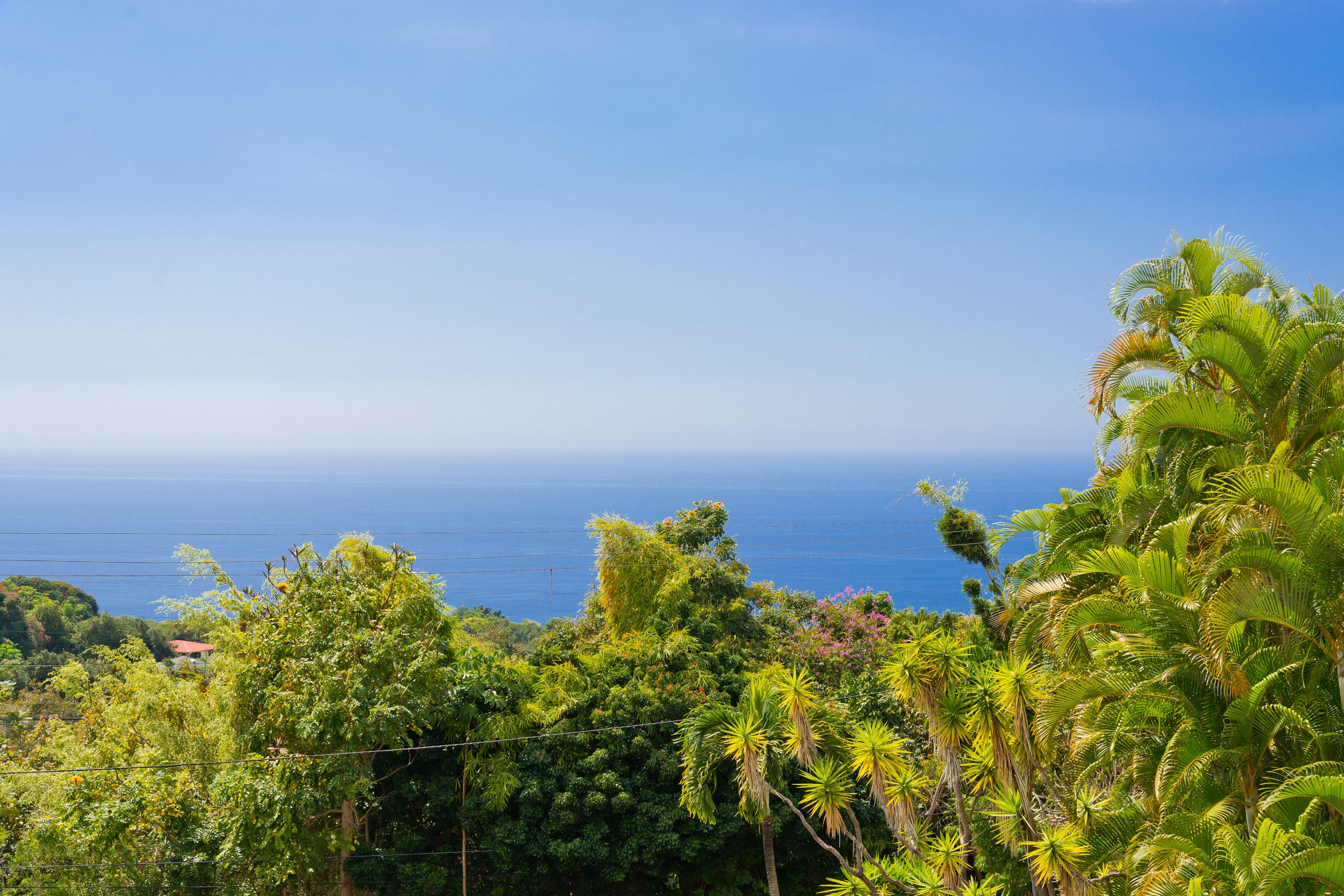 Photo of Listing #718434