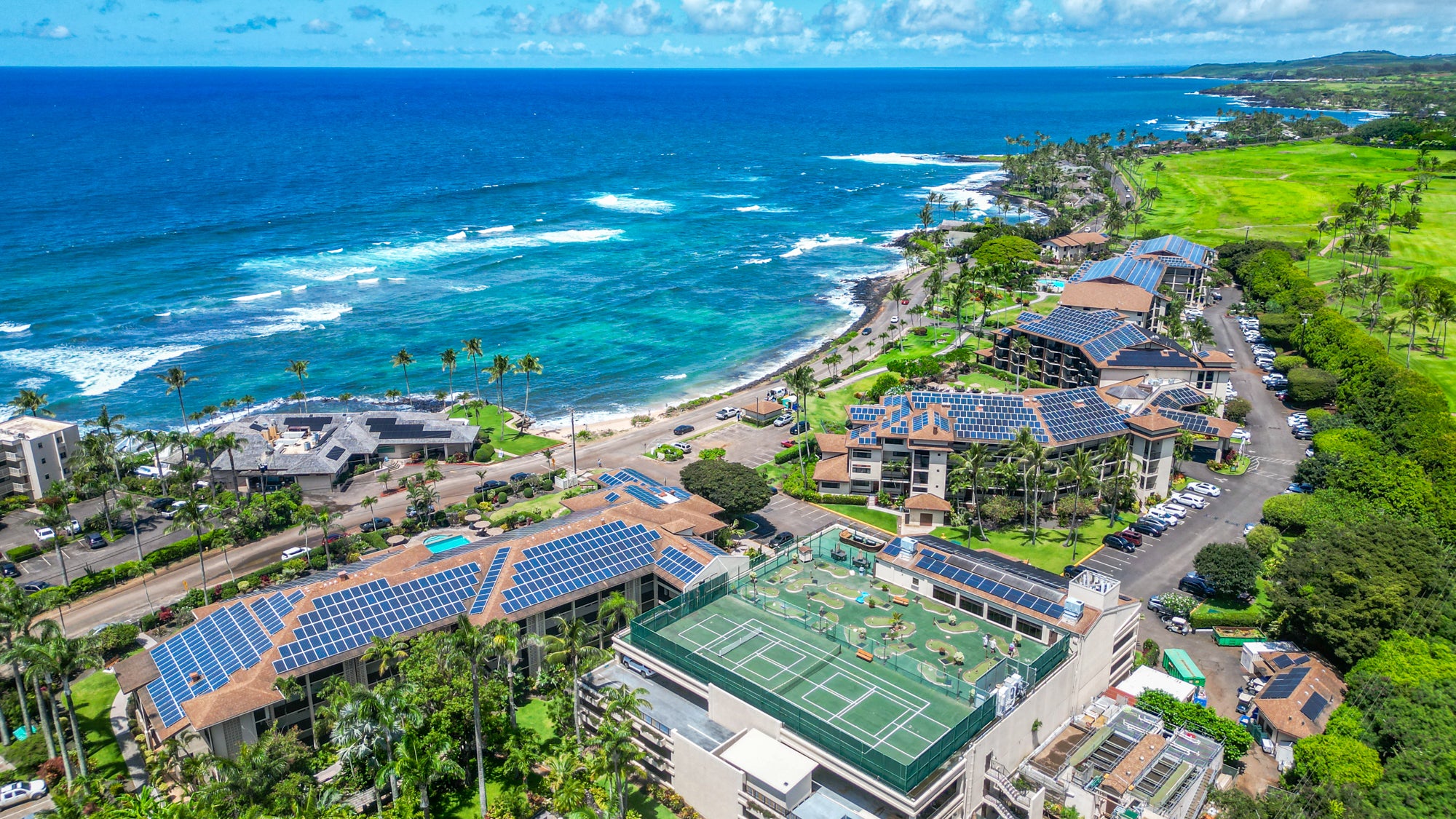 Photo of Listing #719007