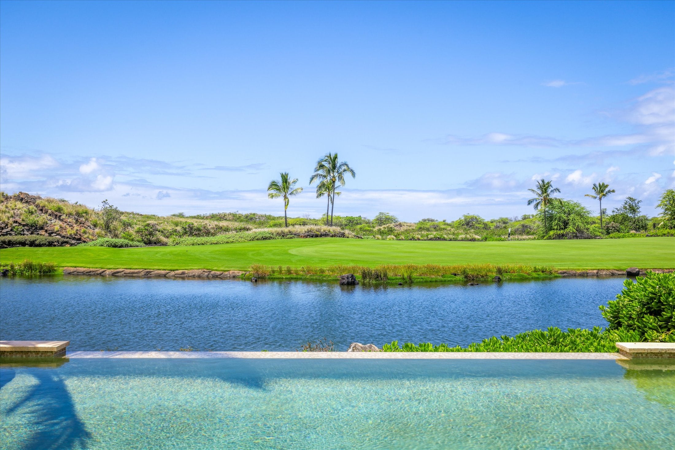 Photo of Listing #721970