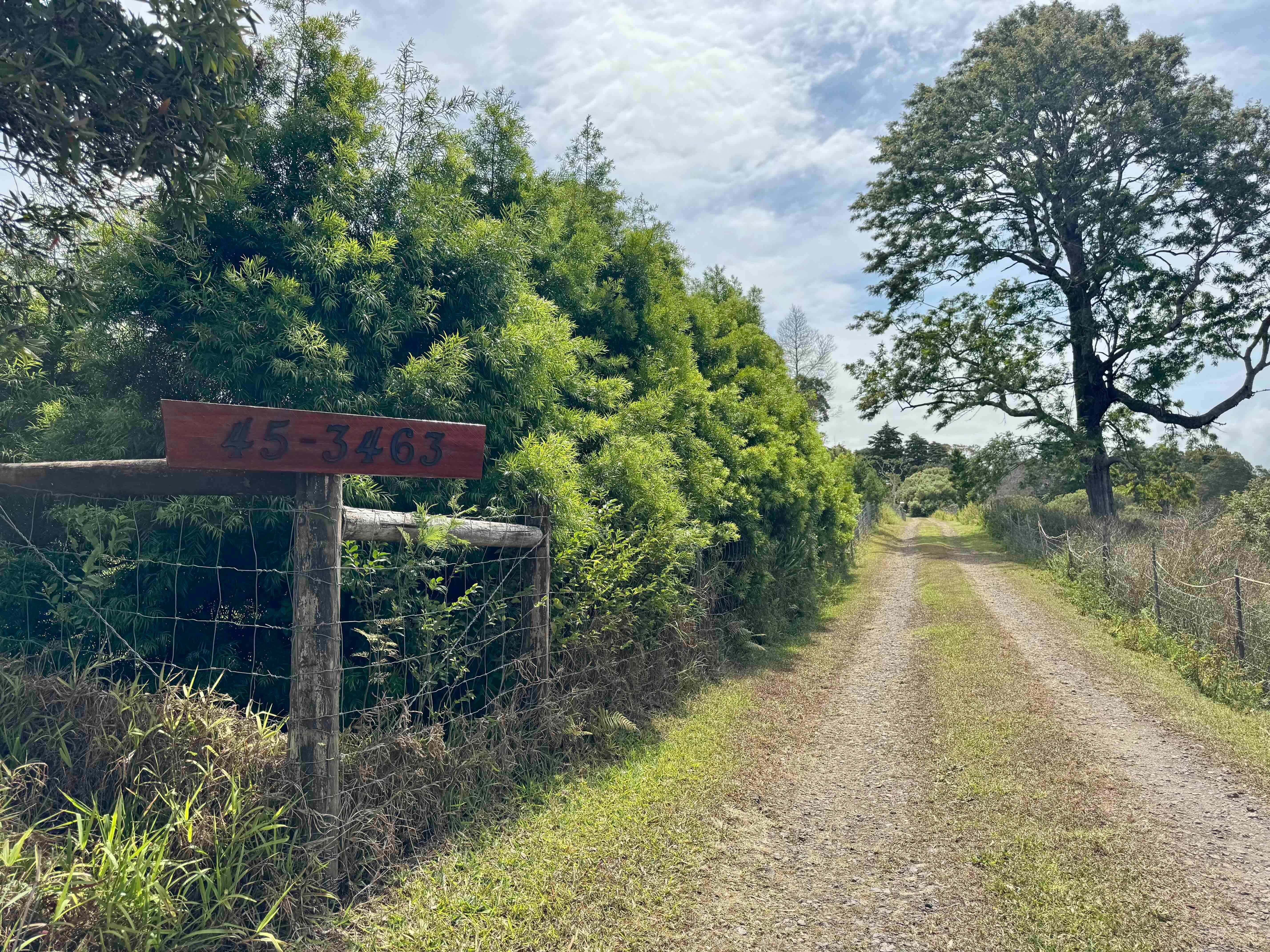 Photo of Listing #722006