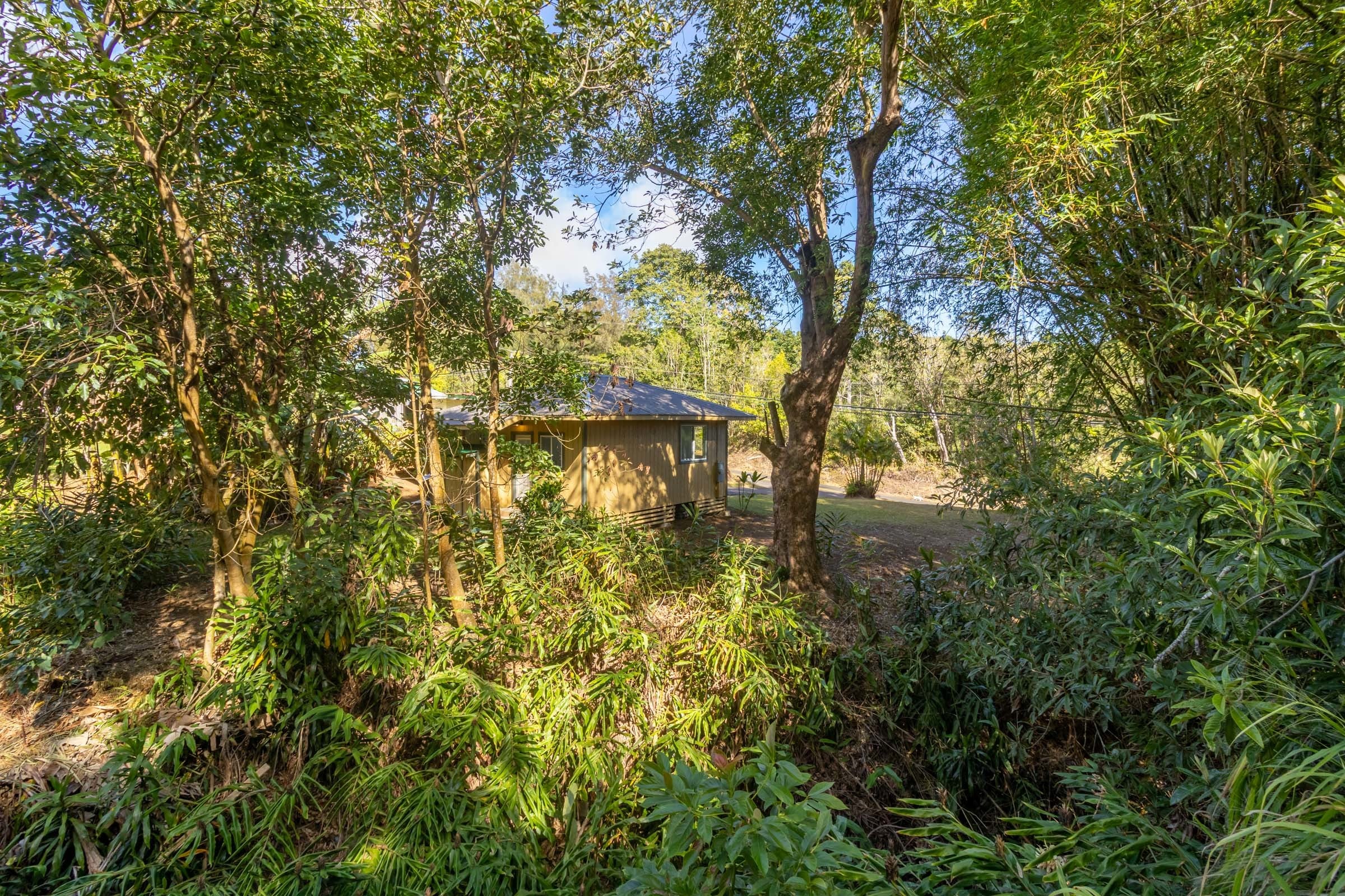 Photo of Listing #722780