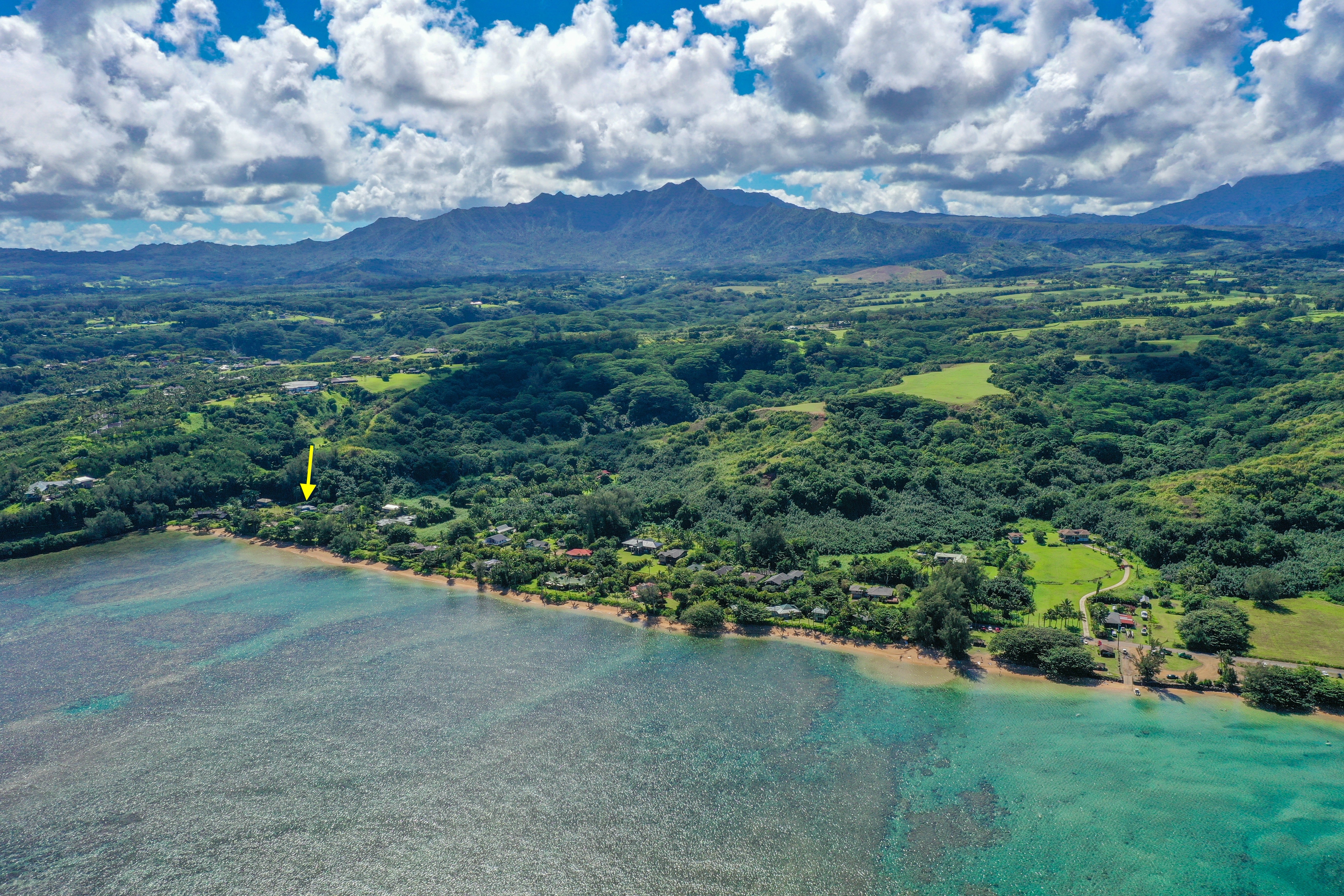 Photo of Listing #723104