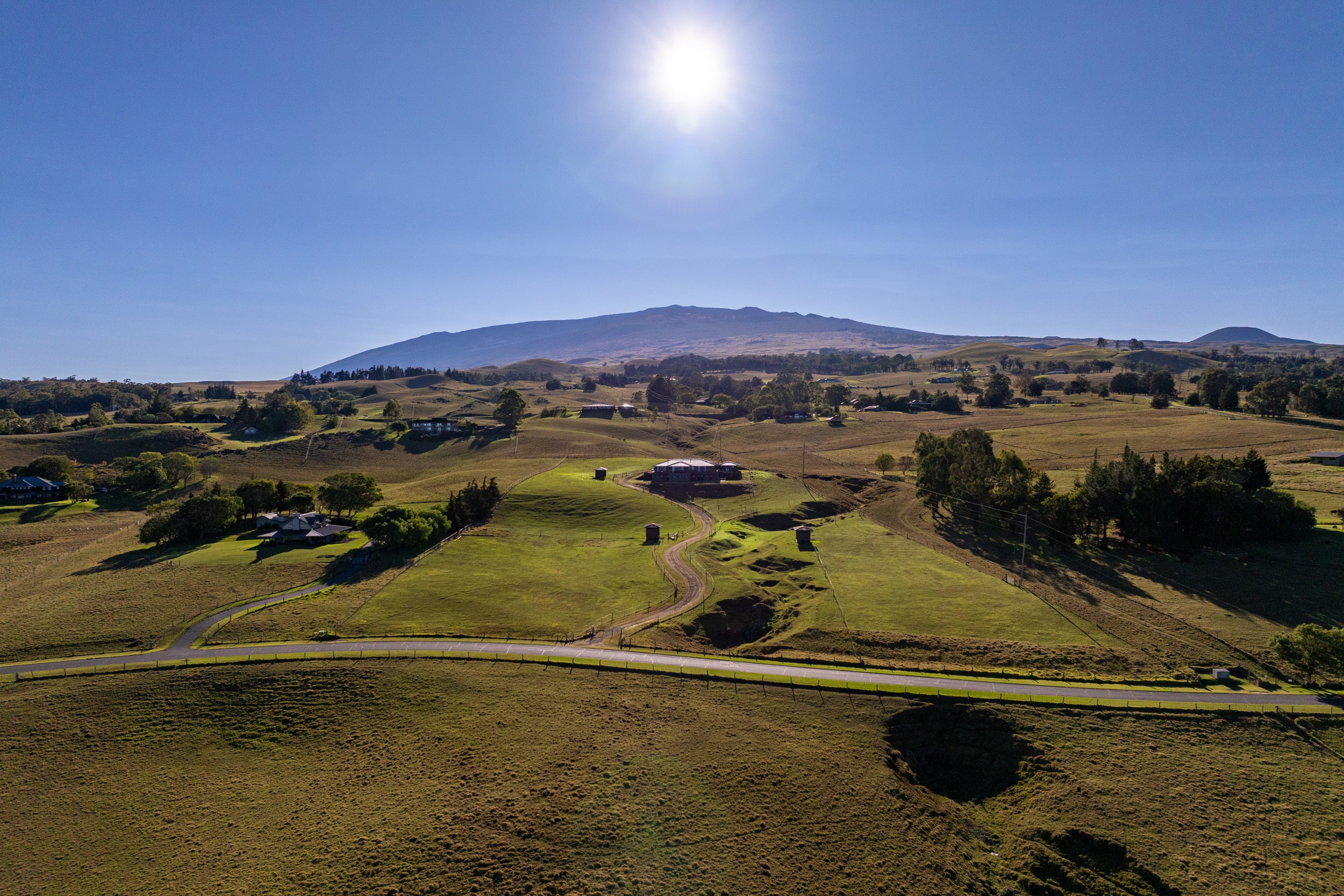 Photo of Listing #723112