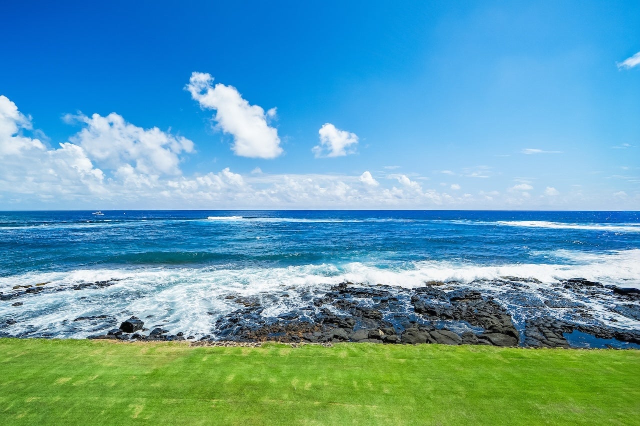 Photo of Listing #723616