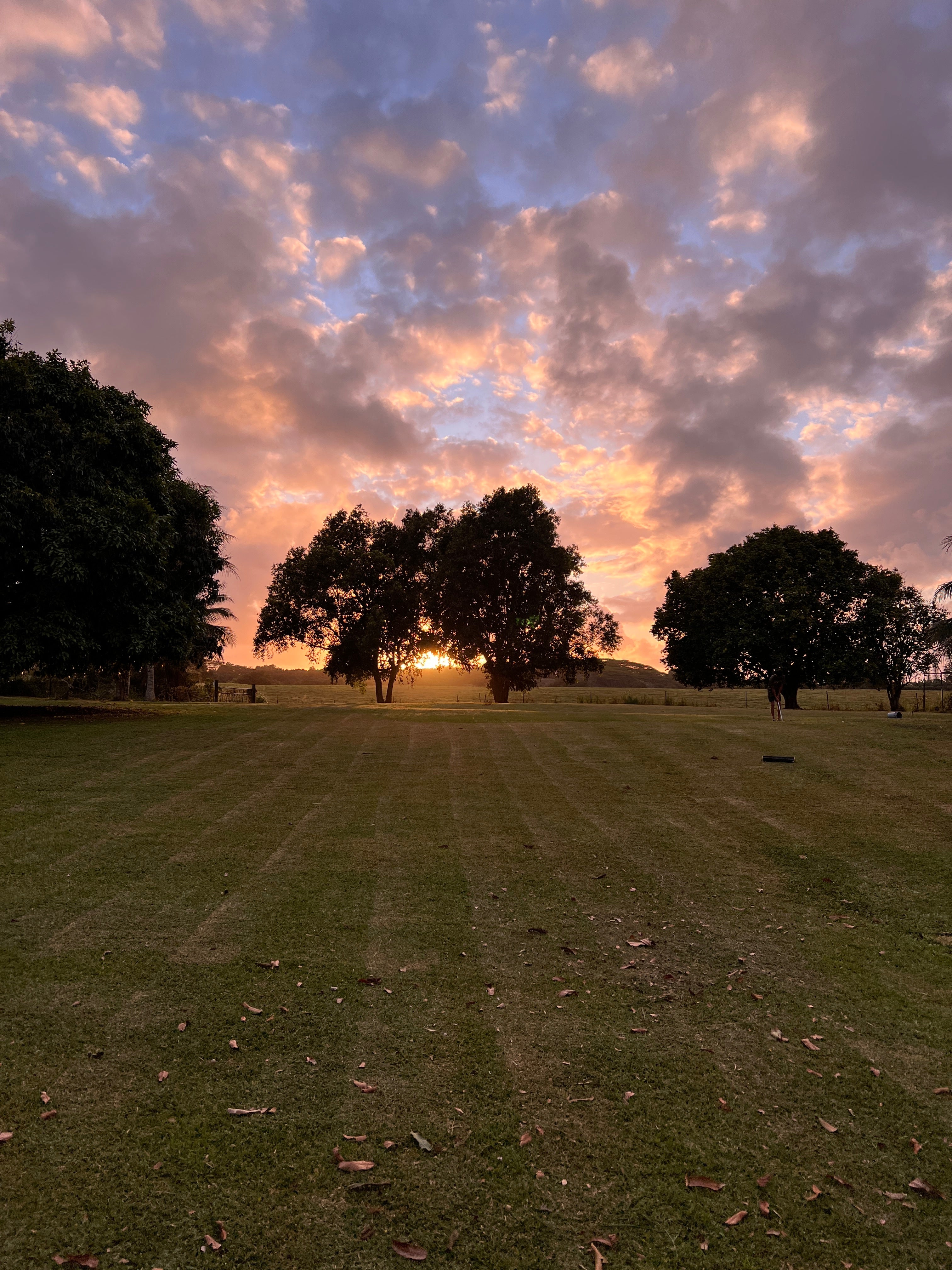 Photo of Listing #724088