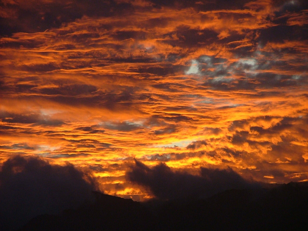 Photo of Listing #724726