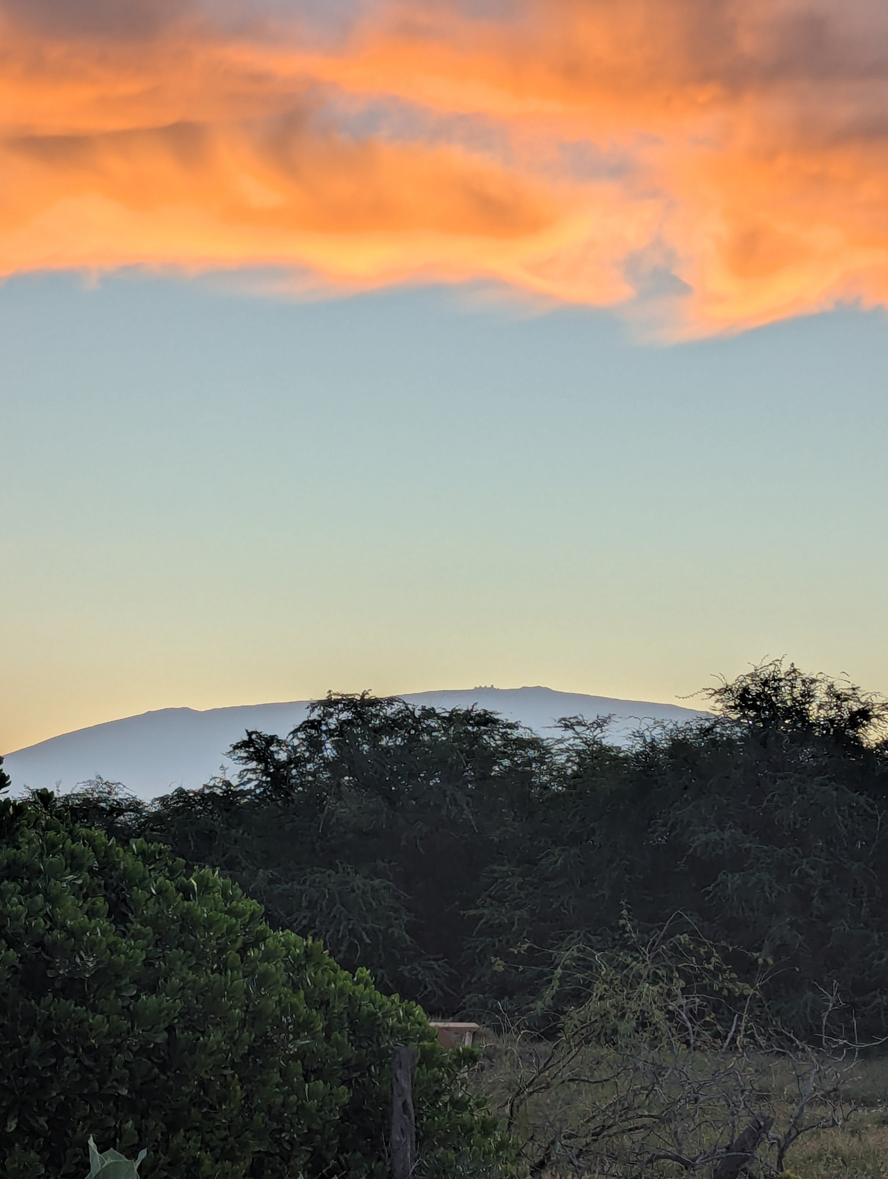 Photo of Listing #726150