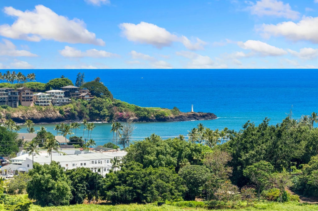 2938 Mokoi St, Lihue