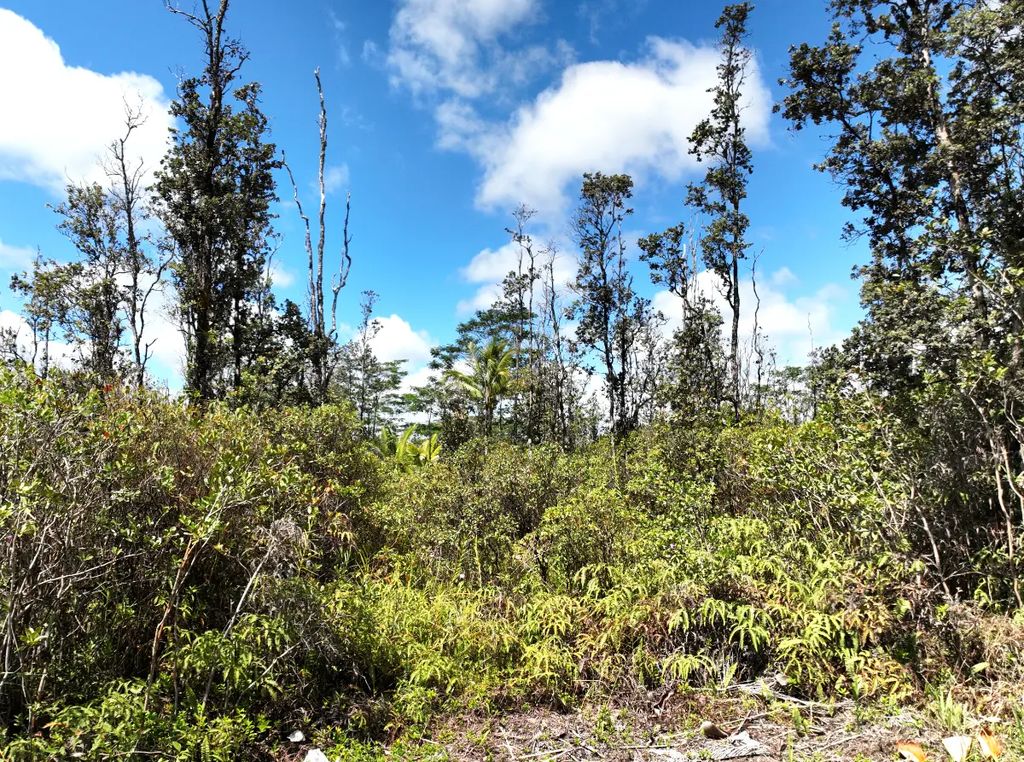 36th Ave, Keaau