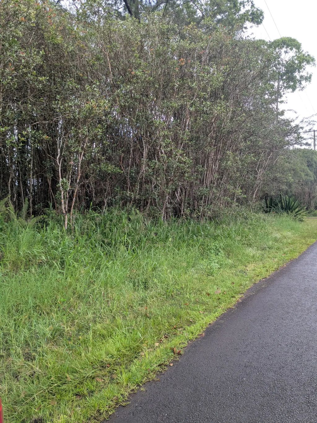 40th Ave, Kurtistown