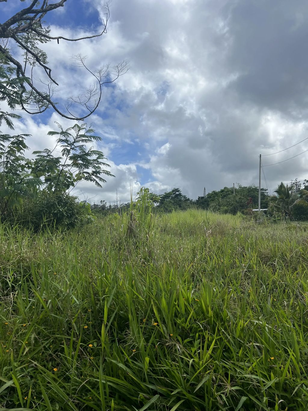 36th Ave, Kurtistown