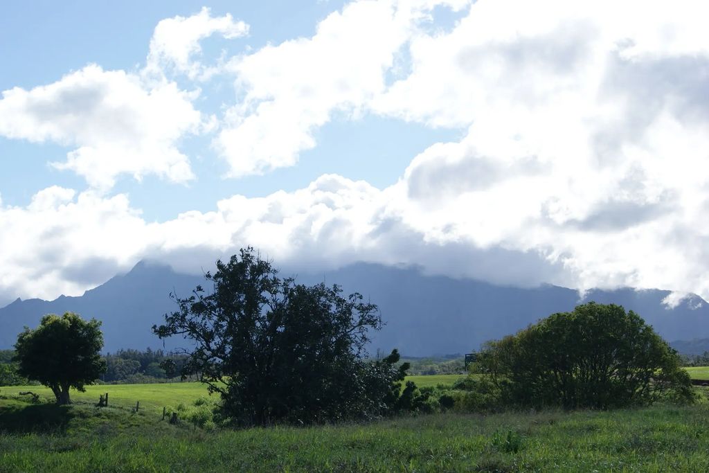 6555 Olohena Rd, Kapaa