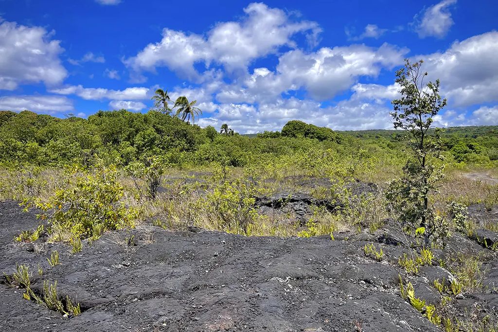 12-4786 Kaimu Chain Of Craters Rd, Pahoa