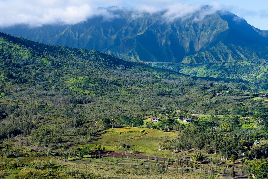 2818 Kamookoa Rd 5, Kilauea