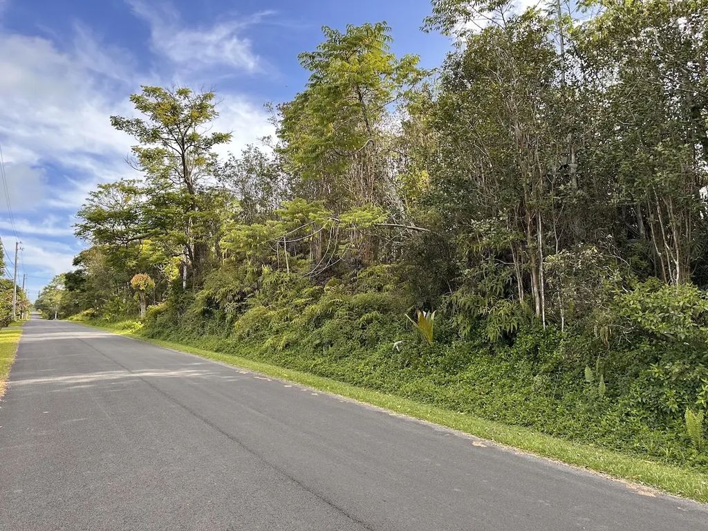 Kupono St, Pahoa