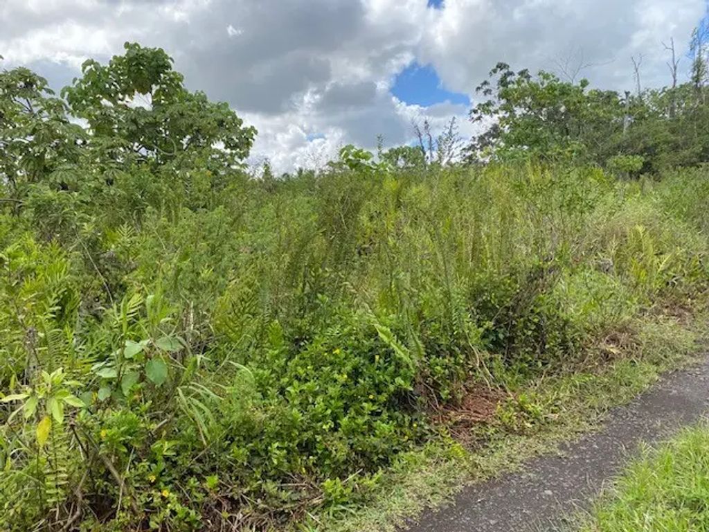 Opihikao Rd Lot 46, Pahoa