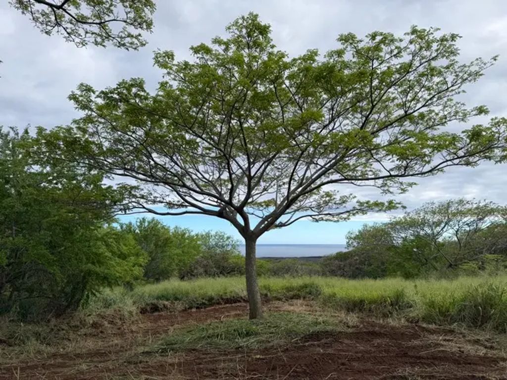 Punaluu Rd, Naalehu