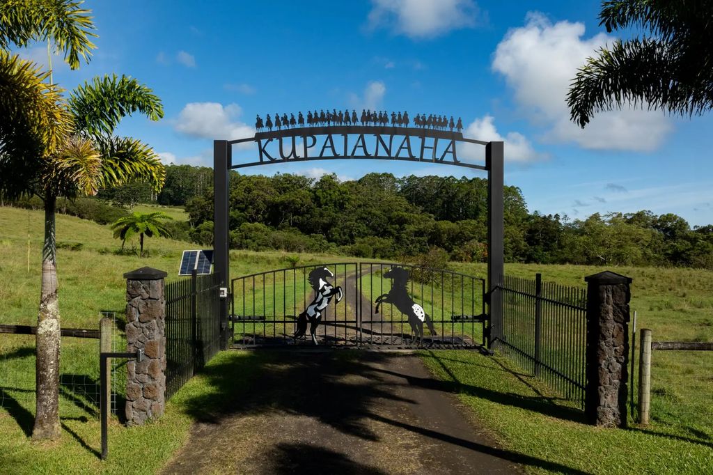 29-596 Chin Chuck Rd, Hakalau