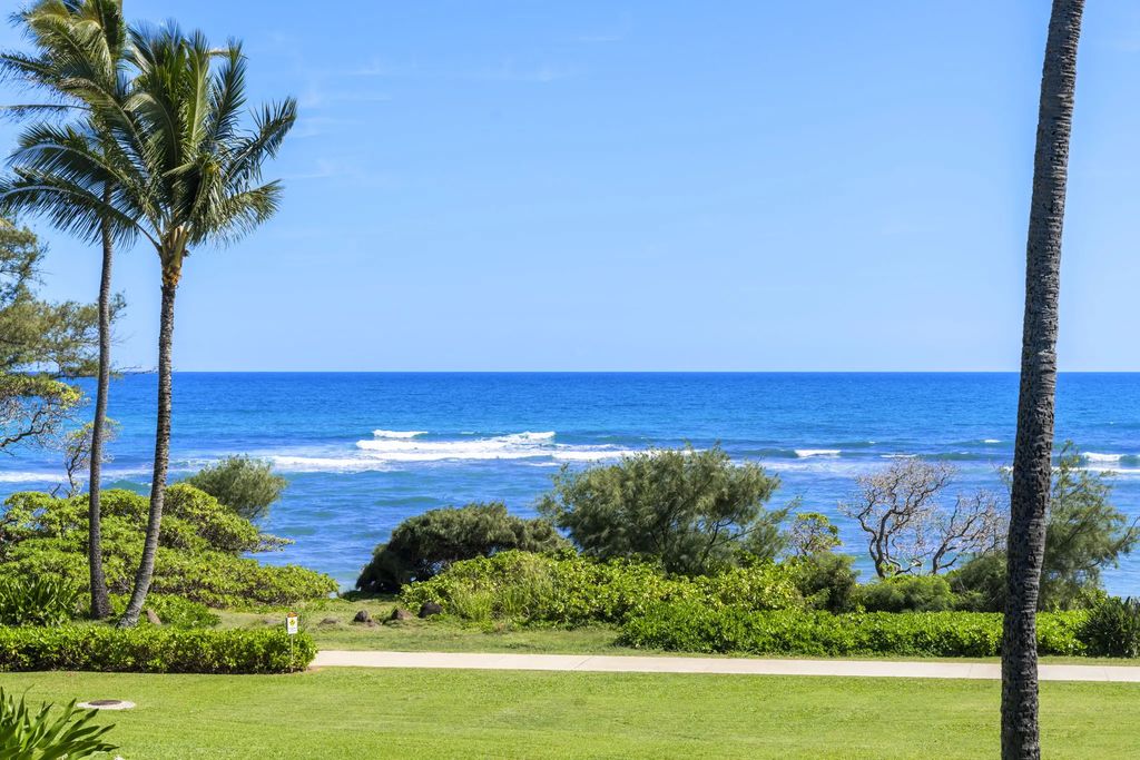 4460 Nehe Rd 228, Lihue