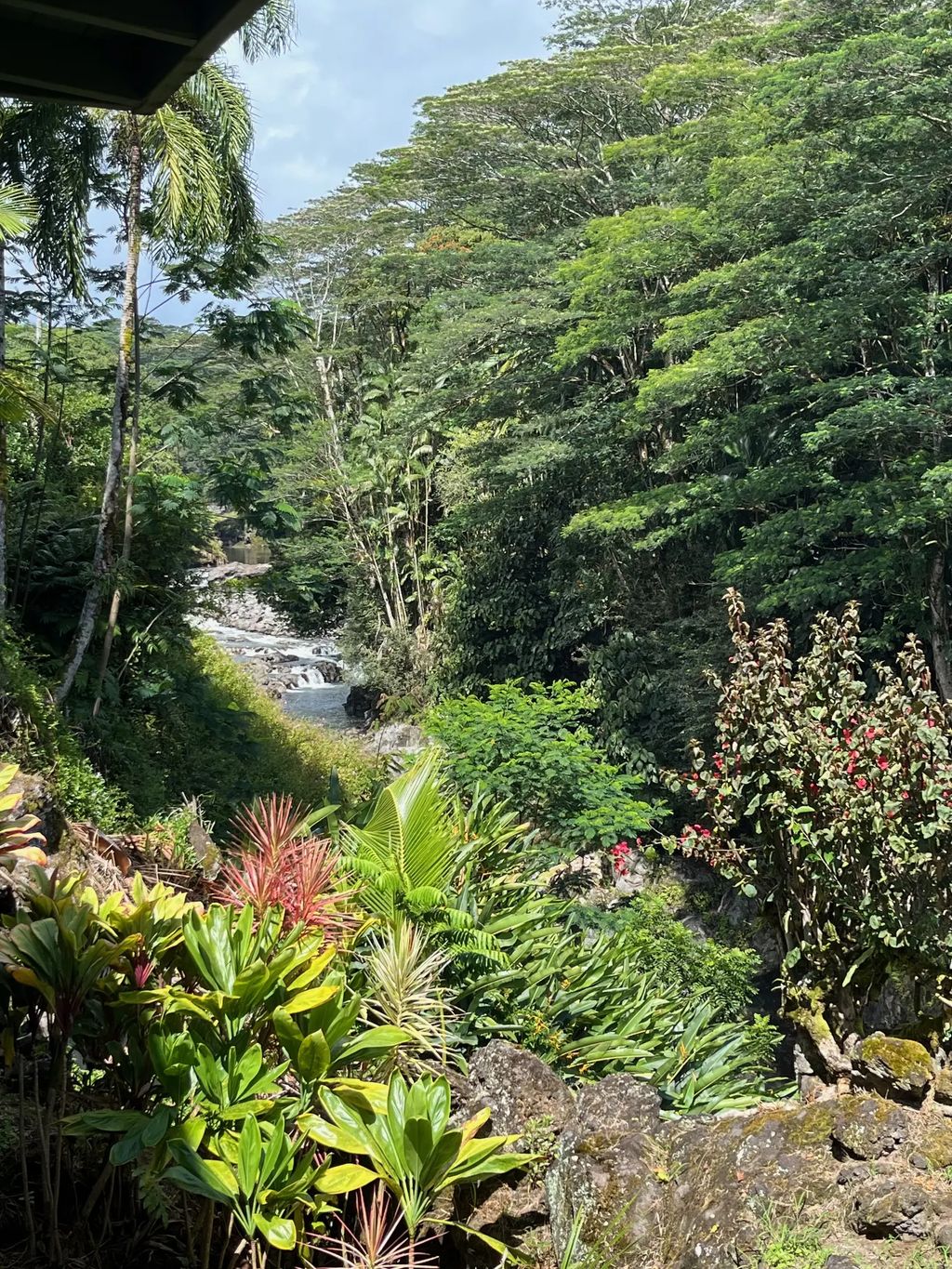 254 Kaiulani St, Hilo