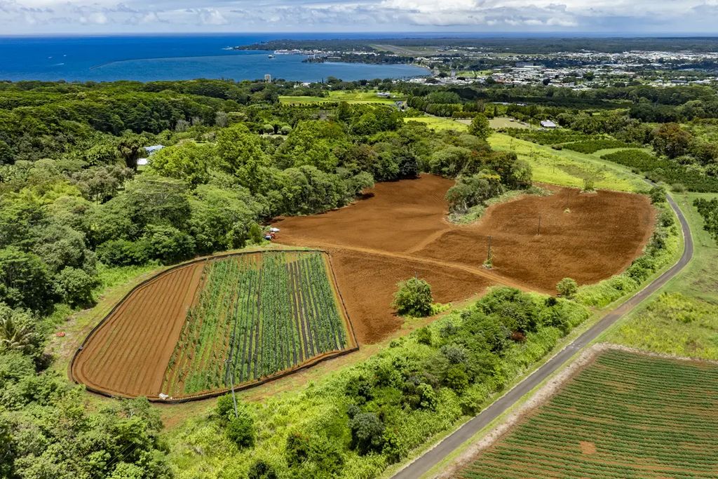 1436 Maikalani St, Hilo